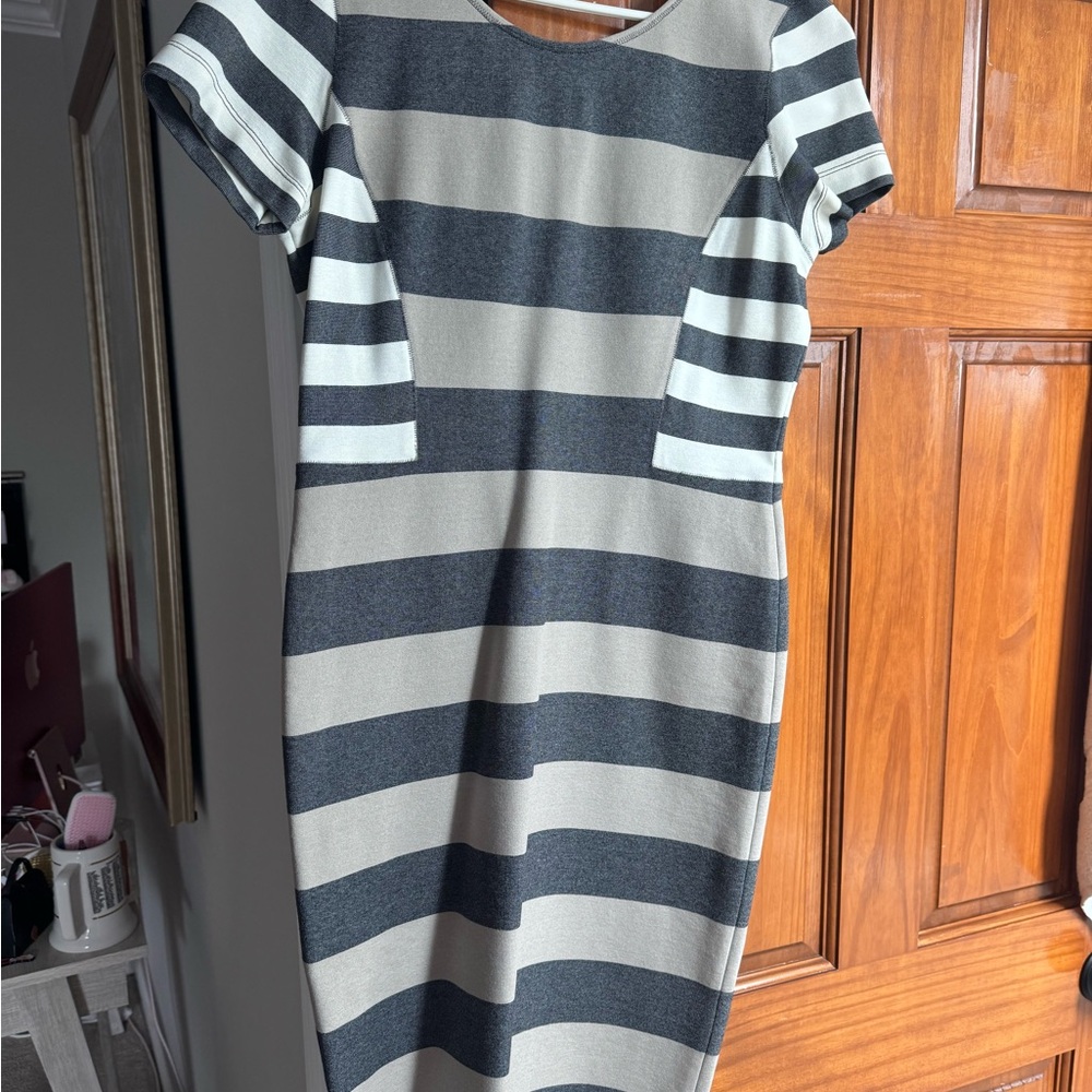 10 Crosby Derek Lam Gray and White Sheath Midi Dress